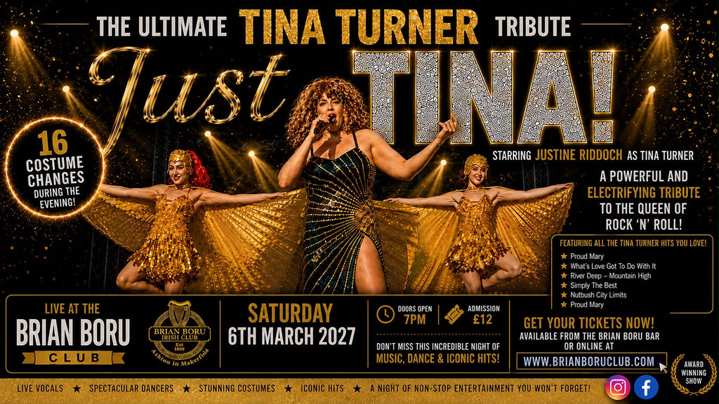 Tina Turner Tribute