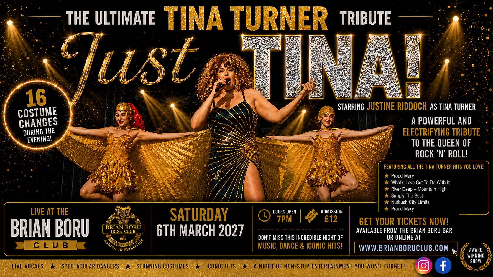 Tina Turner Tribute
