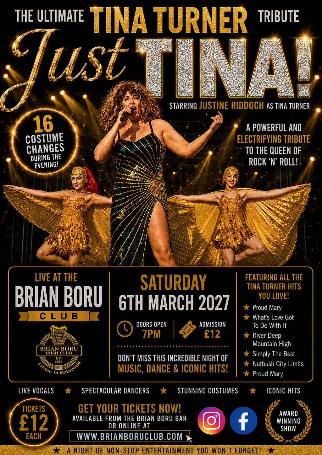 Tina Turner Tribute
